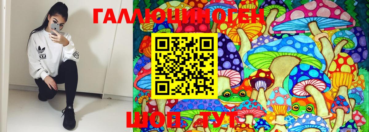 Псилоцибиновые грибы Psilocybe  Вход с VPN  Советская Гавань 