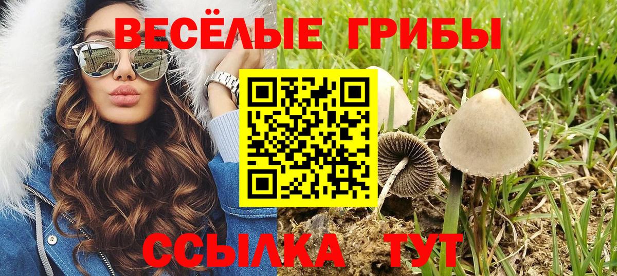 Галлюциногенные грибы мицелий Советская Гавань